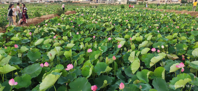 2022年10月2日(星期天)庆十一,骑行环抚仙湖