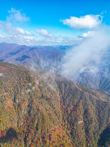 晚秋秋意浓,醉在西天目,品天目暖锅百县千碗