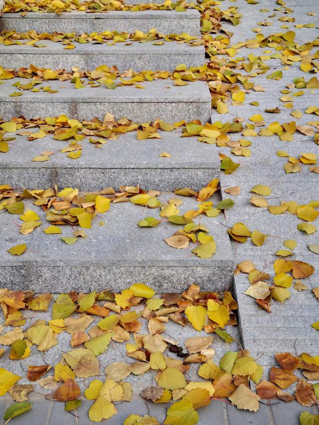 老山城市休闲公园旅行图片 2