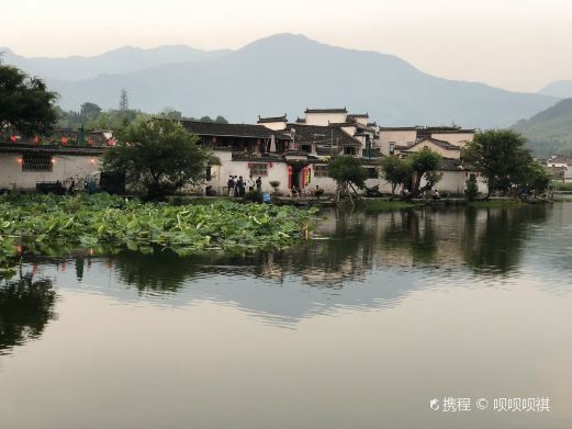 桃源居