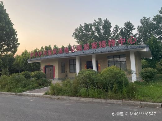 伊洛河湿地公园