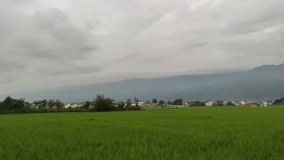 向陽溪村