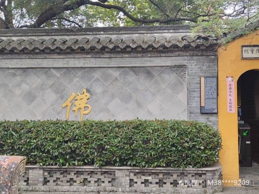 溱潼古镇旅游区-绿院垂槐