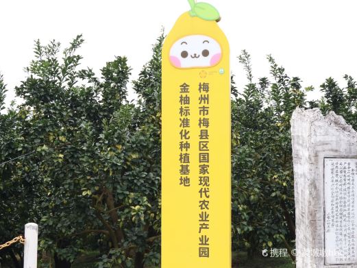 梅县区南福村金柚公园
