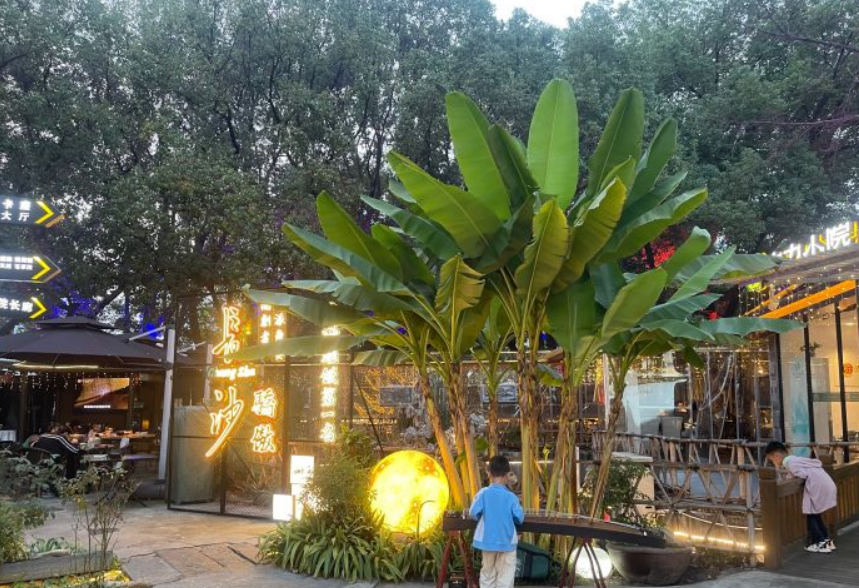 力力小院(桐梓坡路店)