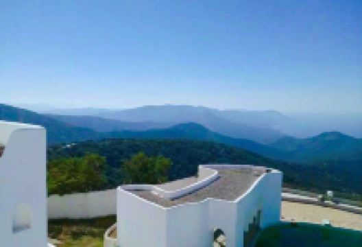 安纳巴绿色大街景点图片