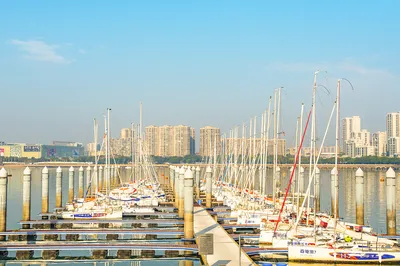 五缘湾游海帆船出海