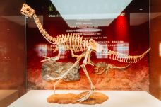 河源恐龙博物馆-河源