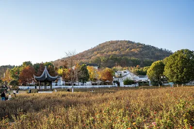 不老村