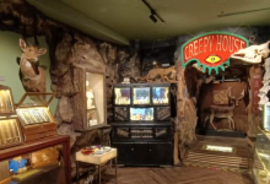 淡水信不信由你搜奇博物馆购物图片