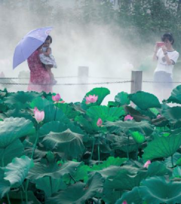 靖江游记图文-靖善靖美，2日寻芳自驾游：大暑已至，请收藏这份清凉