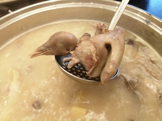 招牌养生云南野生菌乳鸽汤，特别有营养，一下喝六碗