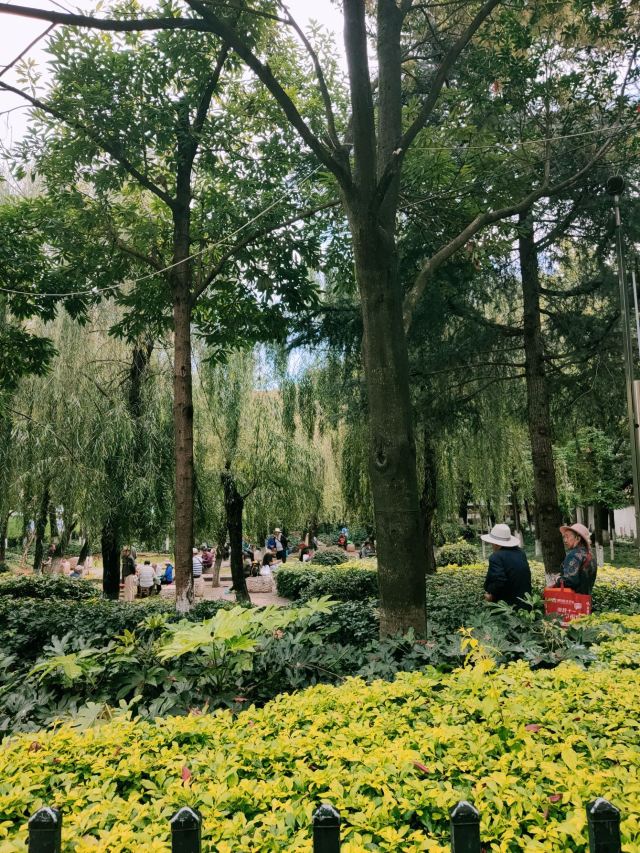 法官林旅行图片 2