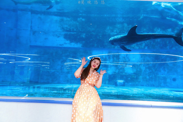 畅游南国海岛,三亚旅游享受最美好的时光和美食