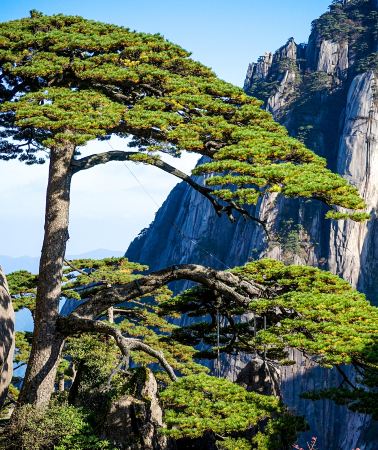 7天6晚 • 皖南山水人文七日跟團｜黃山頂賞日出、佛教名山九華山、遊宏村西遞徽州古城、品在地徽菜