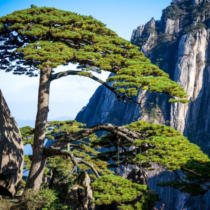 黄山市+千岛湖景区+宏村景区+西递+婺源+九华山风景区9日8晚跟团游