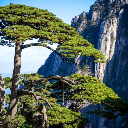 黄山+千岛湖+宏村+西递+婺源6日5晚跟团游