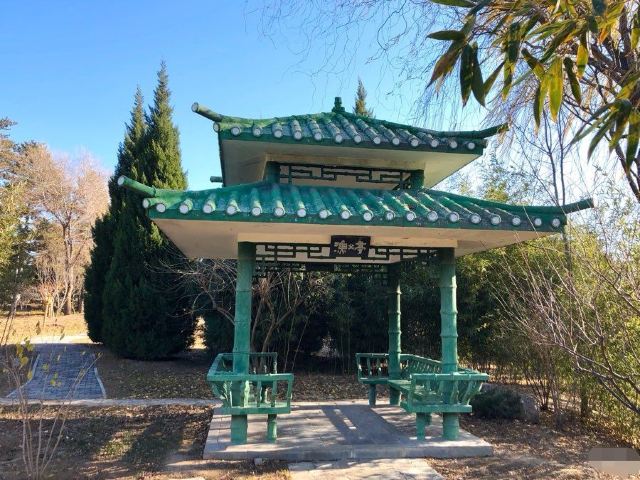 花博会主题公园旅行图片 5