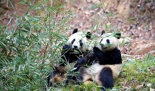 我劝你来这个地方看看！汉中佛坪镇才是陕西冬天值得一去的旅行地