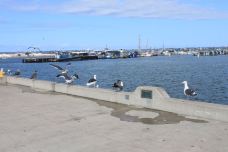 海港村-圣地亚哥-西溪老翁