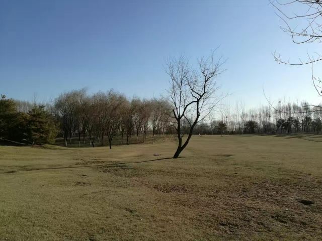 大望京公园旅行图片 2