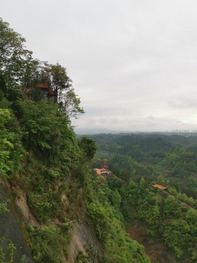 太平山旅行图片 4
