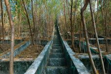 麒麟山公园-深圳