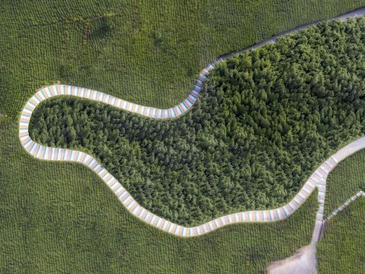 彩虹路