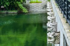 苏州旺山九龙潭风景区-苏州-夏吹夏夜风