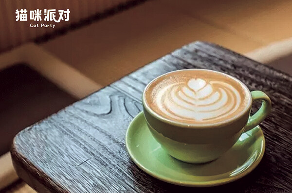三伏天想去猫咪派对来杯冰美式提提神