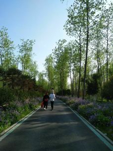 滨湖国家森林公园-合肥-山在穷游