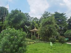 晓港公园-广州-张鹏Patrick