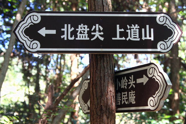长安古道 ①