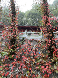 西北地区游记图片] 西北纪行三：风景和心情都在路上（甘肃天水-麦积山）