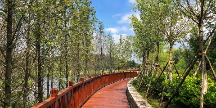 老虎山（大同火山羣國家地質公園）