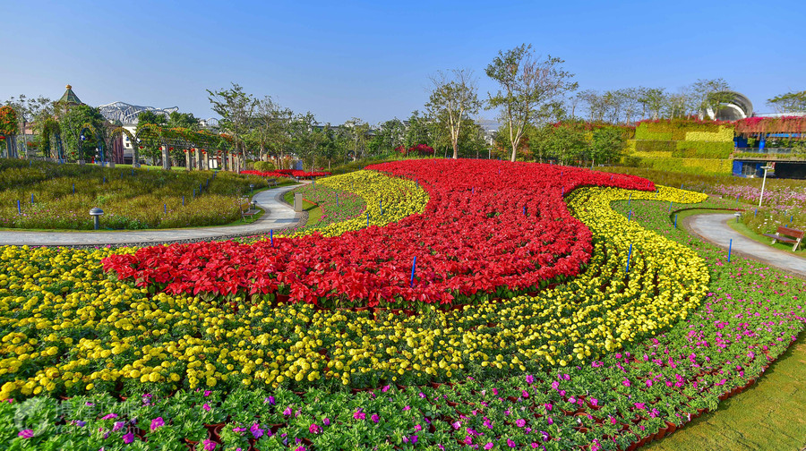 海花島珍奇特色植物園