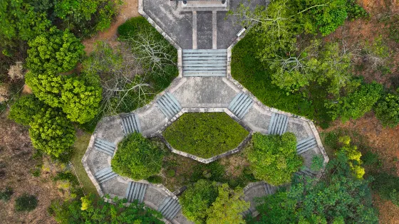 板嶂嶺森林公園