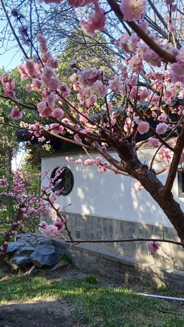 地坛公园旅行图片 1