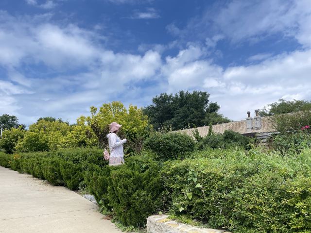 大连蚂蚁岛度假区旅行图片 5