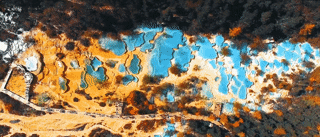 下一期局长“大亮点”，精彩提前看！