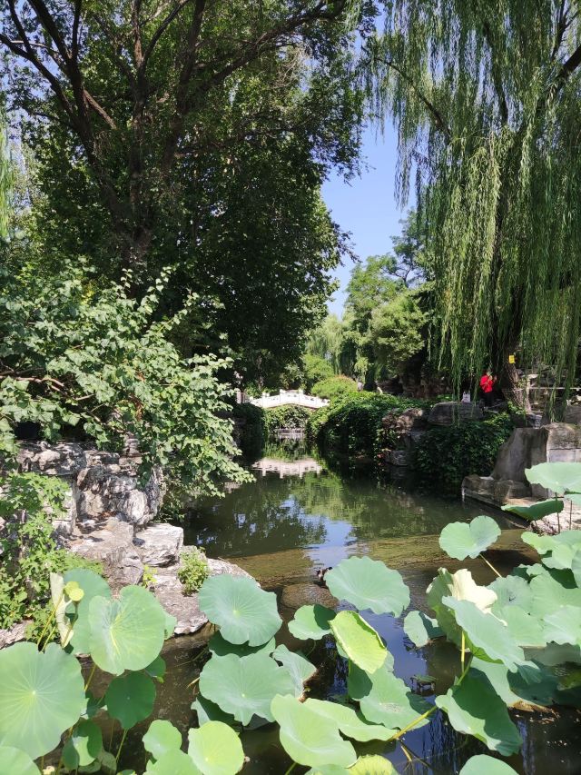 西海旅行图片 5