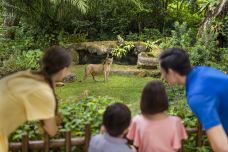 新加坡动物园-新加坡-C-IMAGE