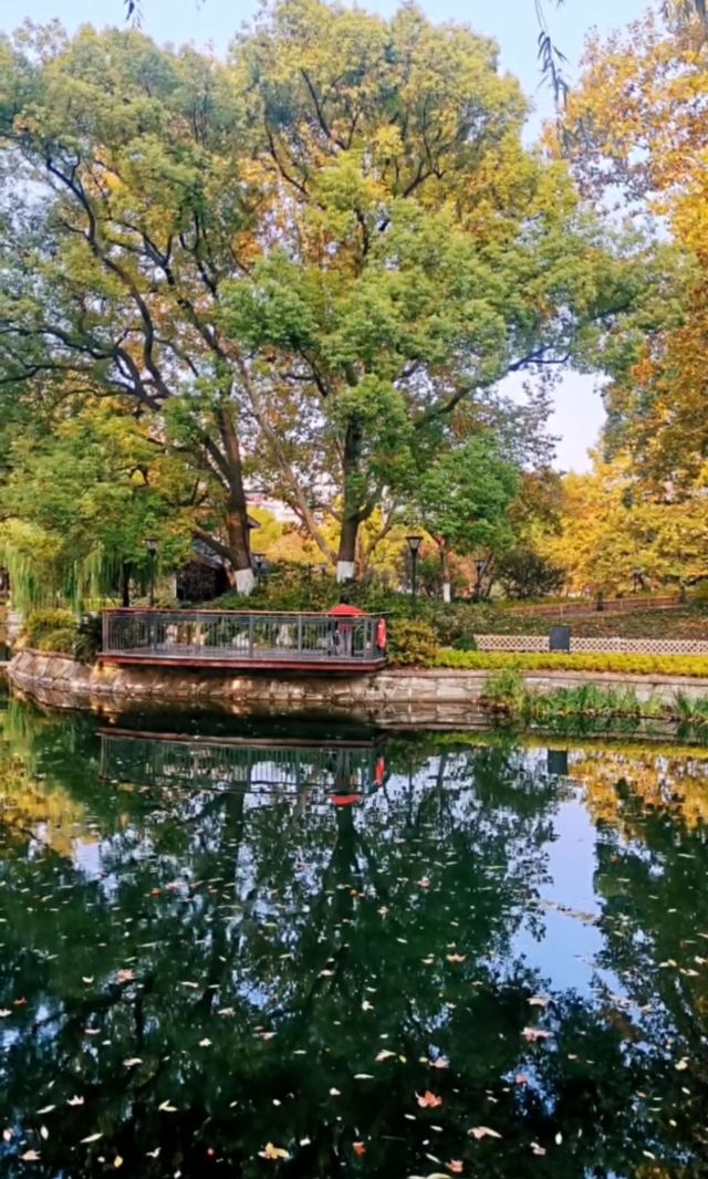闸北公园旅行图片 4