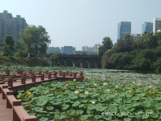栗雨休闲谷