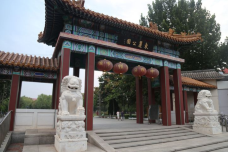 东丽公园-天津-小小的大熊熊