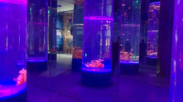 镜湖湿地海洋世界