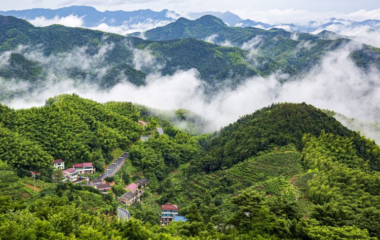 会稽山
