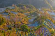 老虎嘴梯田-元阳