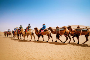 青铜峡游记图文-超出预期的宁夏9月游