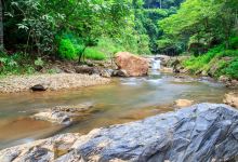 楠溪江风景旅游区景点图片